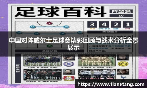 中国对阵威尔士足球赛精彩回顾与战术分析全景展示