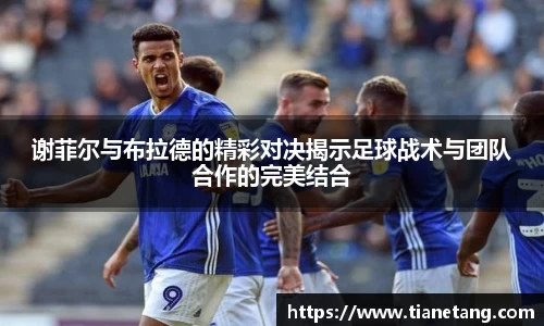 谢菲尔与布拉德的精彩对决揭示足球战术与团队合作的完美结合